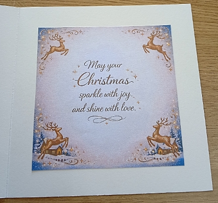 12 + christmas inserts set 1 by Margaret Scott
