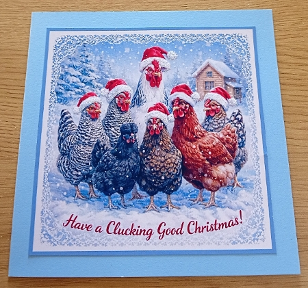 hens at christmas by Margaret Scott