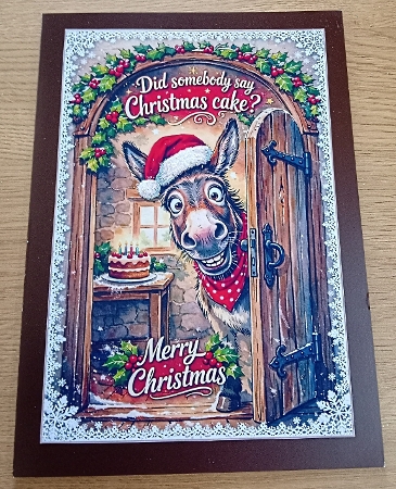donkey christmas by Margaret Scott