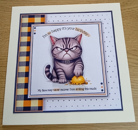 Im So Happy Its Your Birthday! (Cat) by Margaret Scott