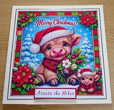 christmas coo 1 by Margaret Scott