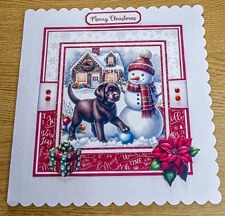 CHOCOLATE LABRADOR CHRISTMAS by Margaret Scott