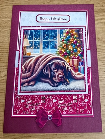 CHOCOLATE LABRADOR CHRISTMAS by Margaret Scott