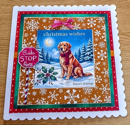 Moonlit Christmas Wishes set 4 2026 by Margaret Scott
