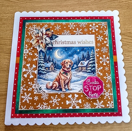 Moonlit Christmas Wishes set 4 2026 by Margaret Scott