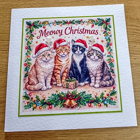 meowy christmas 2 by Margaret Scott
