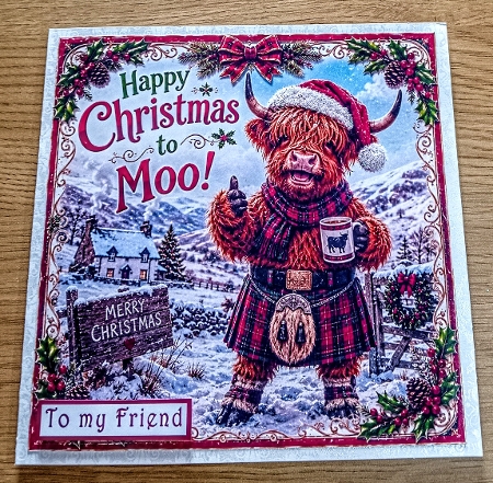 happy christmas to moo by Margaret Scott