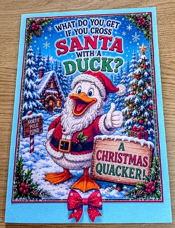 humourous santa duck by Margaret Scott