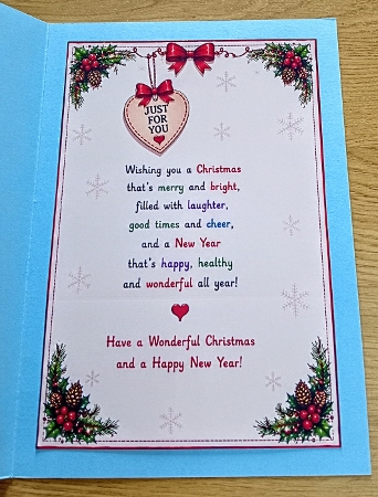 humourous santa duck by Margaret Scott