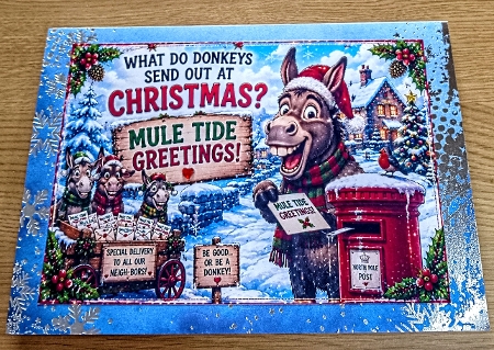 donkey joke  by Margaret Scott