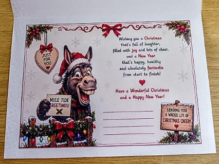 donkey joke  by Margaret Scott