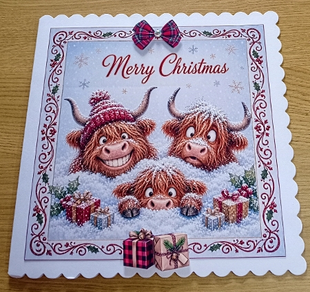 coos in a snow drift by Margaret Scott