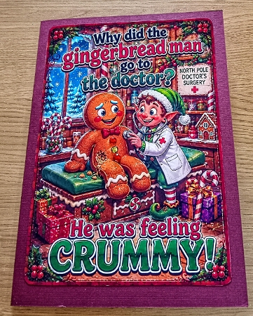 why did the gingerbread man? by Margaret Scott