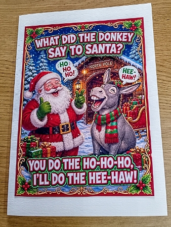 what did the donkey say to santa? by Margaret Scott