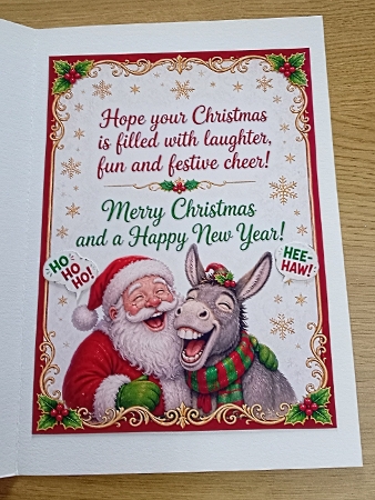 what did the donkey say to santa? by Margaret Scott