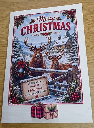 christmas stags by Margaret Scott