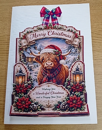 merry christmas  coo by Margaret Scott