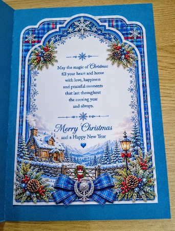 shaped cosy tartan christmas by Margaret Scott