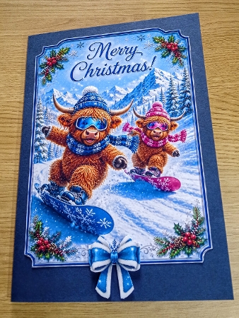 snowboard coos by Margaret Scott