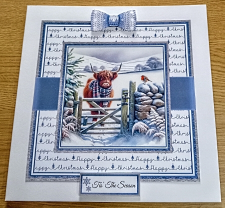 Highland Cow & Robin 1 Card Fronts & Sentiments - 6x6 & 5x7 by Margaret Scott