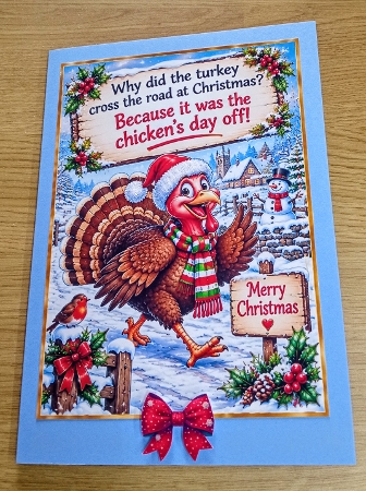 why did the turkey cross the road by Margaret Scott