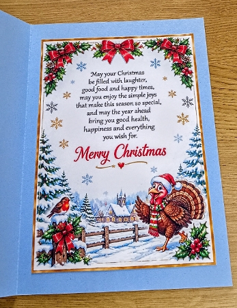 why did the turkey cross the road by Margaret Scott