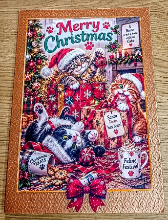 cats at play by Margaret Scott