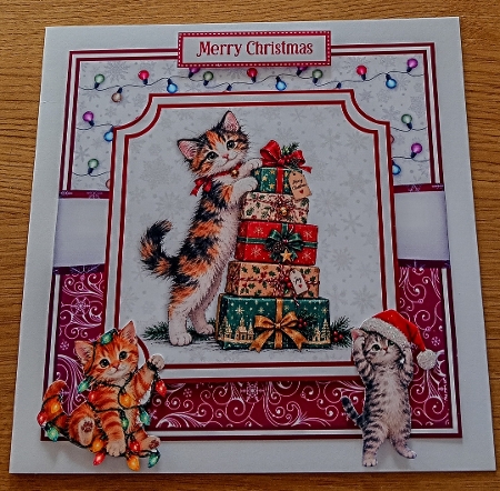CHRISTMAS KITTEN FUN Featured Gallery Photo