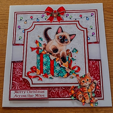 CHRISTMAS KITTEN FUN by Margaret Scott