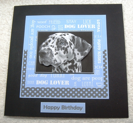 Dalmatian Dog Lover by Margaret Scott