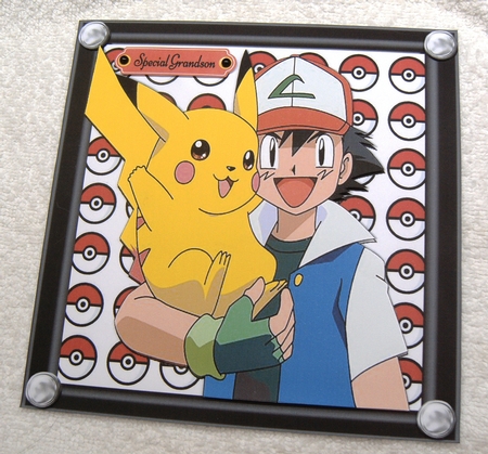 Pokemon & Friend 8x8 Mini Kit by Margaret Scott