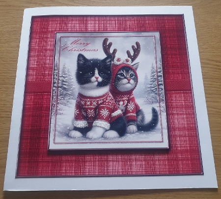 16x16 Various Frames cu ok by Margaret Scott