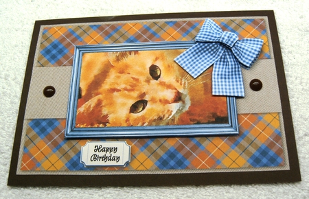 Watercolour/Watercolor Tabby Cat Mini Kit Cat Sympathy Birthday Etc. by Margaret Scott