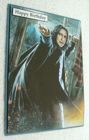 Harry Potter 5 A5 Quick Card by Margaret Scott