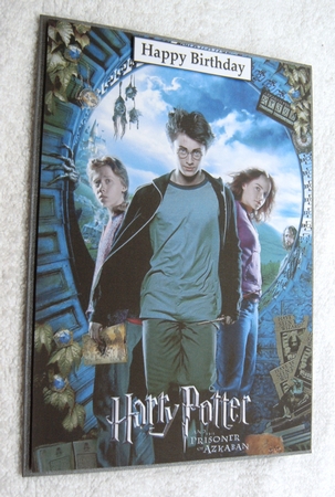 Harry Potter 10 A5 Quick Card by Margaret Scott