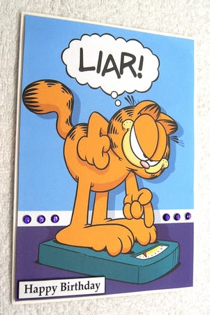 Garfield 5 A5 Quick Card by Margaret Scott