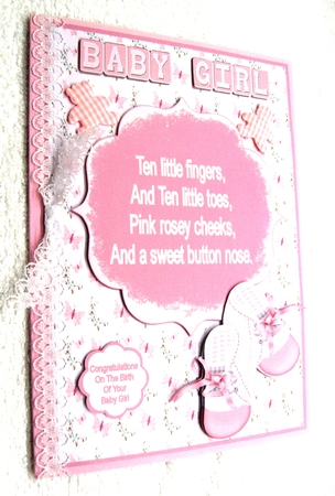 Ten Little Fingers And Ten Little Toes Insert - Girl by Margaret Scott