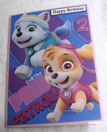 Paw Patrol Skye and Everest Birthday A5 Decoupage by Margaret Scott