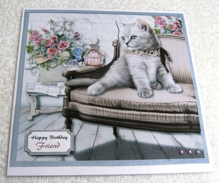 Cute pampered cat by Margaret Scott