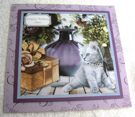 Cute cat with plants, vase and gift box by Margaret Scott