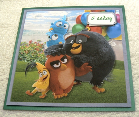 Angry Birds by Margaret Scott