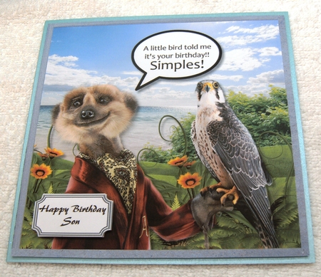 Meerkat birthday by Margaret Scott