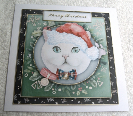 Christmas cats quick card collection by Margaret Scott