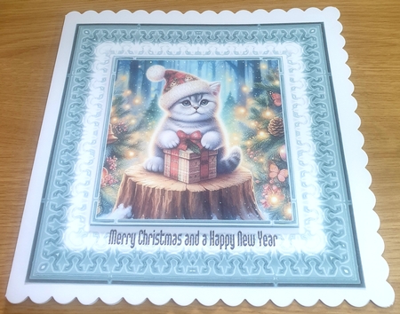 Dreamy Frames  by Margaret Scott