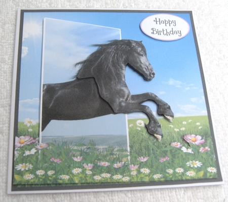 3D BLACK BEAUTY 6X6 by Margaret Scott