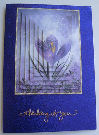 Magical Spring Crocus Pyramid by Margaret Scott