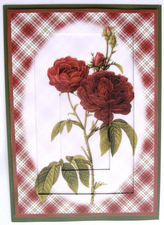 Deep Red Roses A4 Tunnel Card/topper by Margaret Scott