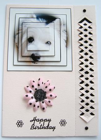 Westie by Margaret Scott