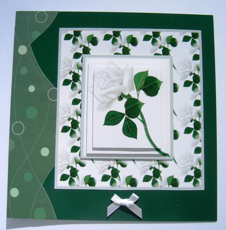 White Rose by Margaret Scott