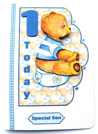 1 Today Teddy by Margaret Scott